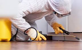 Emergency Pest Control Services in Houma, LA